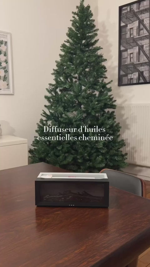 Charger la vidéo : 